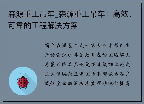 森源重工吊车_森源重工吊车：高效、可靠的工程解决方案